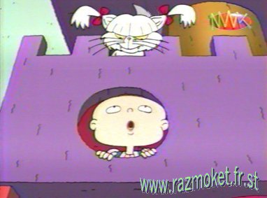 Alphonse veux ce chat !