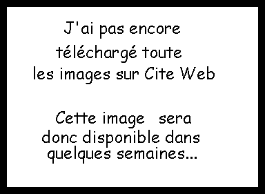 Les bbs sont fascins par le disque !