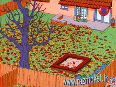 A cause de l'automne l'arbre a perdu toutes ses feuilles !