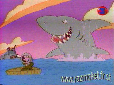 Attention au requin !